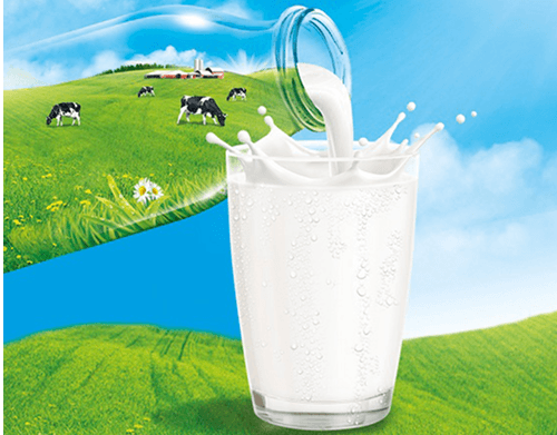Nhà sản xuất sữa tươi cao cấp, tăng trưởng 60–100%/năm, xây dựng nhà máy với quy mô 5300m2